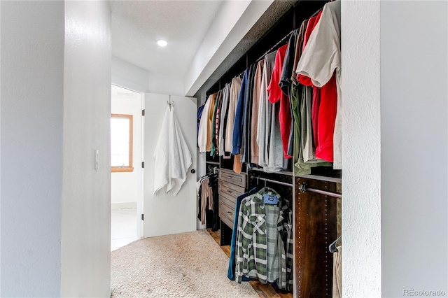 walk in closet with carpet floors