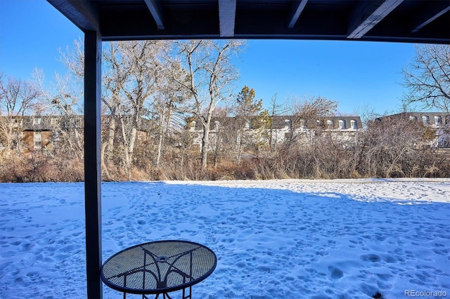 view of snowy yard