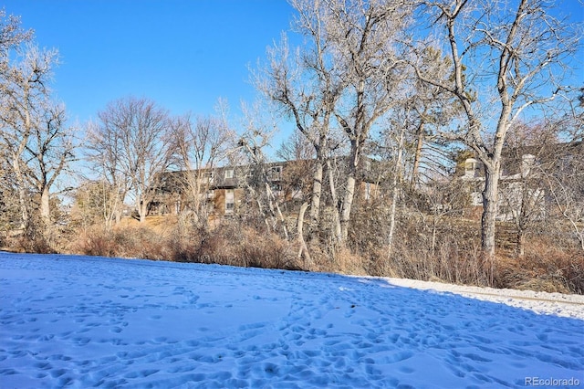 view of yard layered in snow