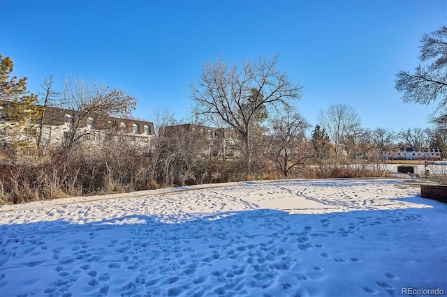 view of yard layered in snow