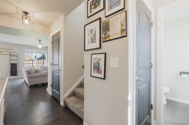 corridor featuring dark hardwood / wood-style flooring