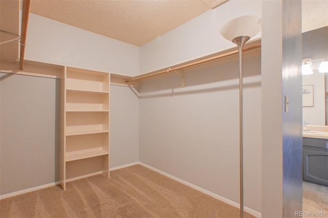 walk in closet with carpet flooring and sink