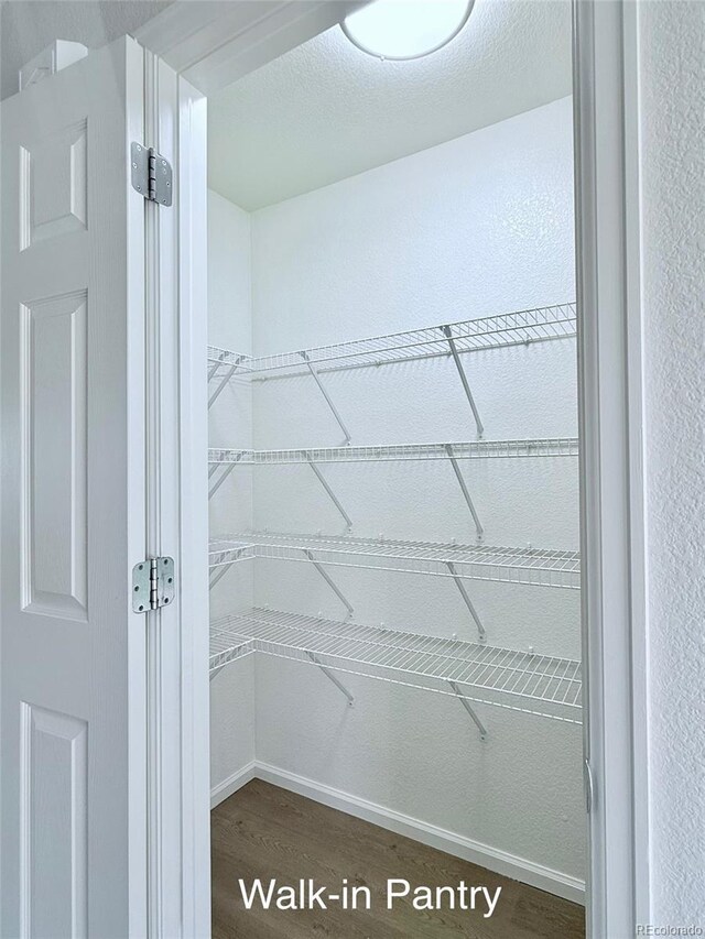 10676 Forester Pl, Longmont, CO 80504 - view of pantry