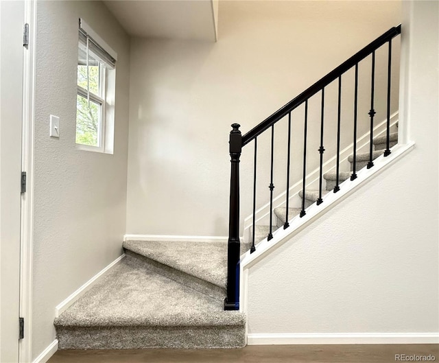 10676 Forester Pl, Longmont, CO 80504 - stairs featuring baseboards and wood finished floors