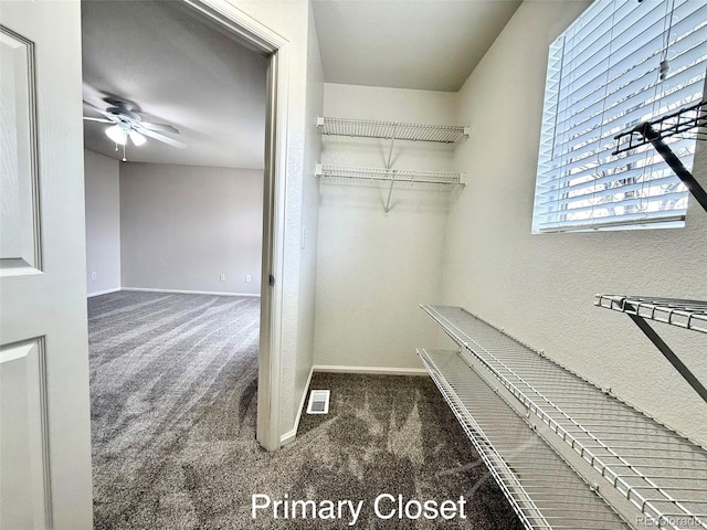 10676 Forester Pl, Longmont, CO 80504 - spacious closet featuring carpet and ceiling fan