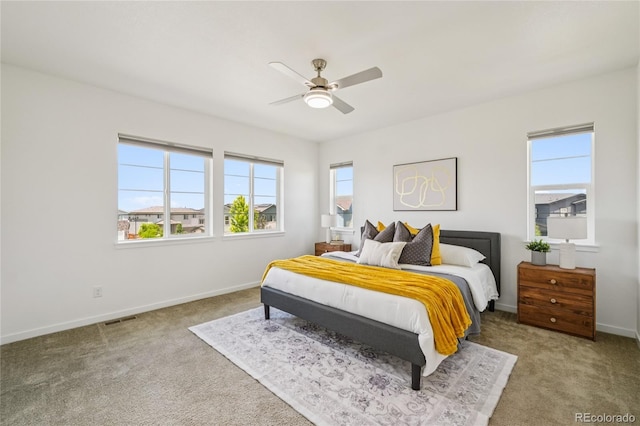198 Starlight Cir, Erie, CO 80516 - photo 17