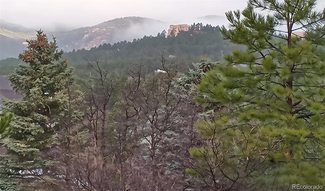 19260 Spring Valley Rd, Monument, CO 80132 - view of mountain backdrop featuring a heavily wooded area