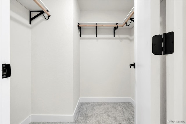 8497 Madison Way, Denver, CO 80229 - spacious closet with carpet flooring
