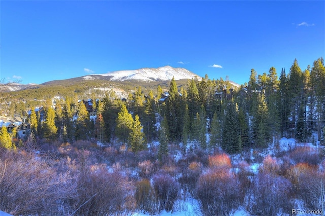 965 Four Oclock Rd, Breckenridge, CO 80424 - mountain view featuring a heavily wooded area