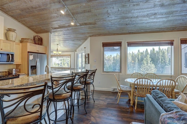 965 Four Oclock Rd, Breckenridge, CO 80424 - kitchen with stainless steel appliances, track lighting, wooden ceiling, a chandelier, and a breakfast bar area