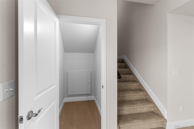 4543 Cholla Trl, Castle Rock, CO 80104 - stairs with baseboards and carpet