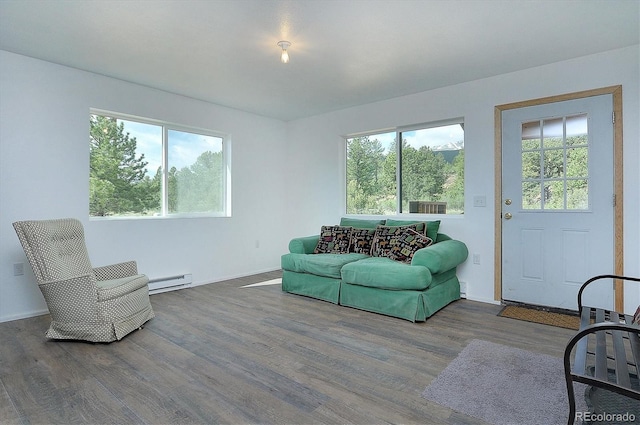 18340 S Lake Rd, Buena Vista, CO 81211 - living area with a baseboard heating unit, healthy amount of natural light, and wood finished floors