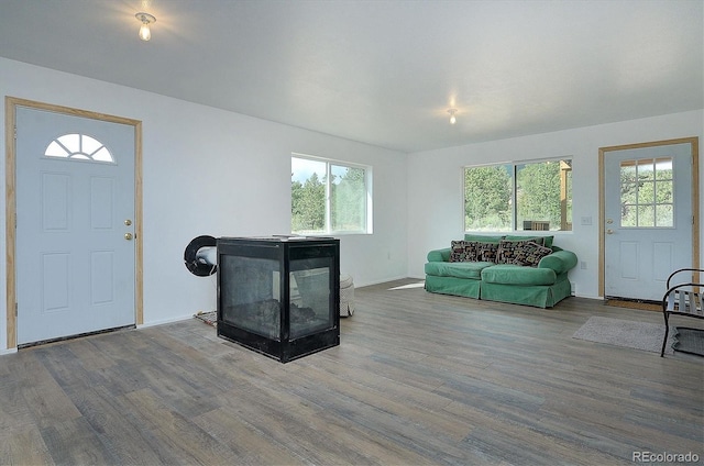 18340 S Lake Rd, Buena Vista, CO 81211 - living area featuring wood finished floors, plenty of natural light, and baseboards