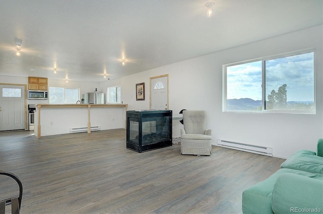 18340 S Lake Rd, Buena Vista, CO 81211 - living room featuring a baseboard heating unit, wood finished floors, and plenty of natural light
