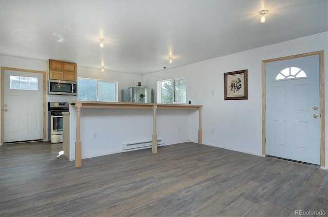 18340 S Lake Rd, Buena Vista, CO 81211 - kitchen with stainless steel appliances, baseboard heating, dark wood-style flooring, and healthy amount of natural light