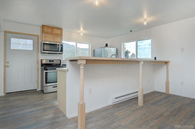 18340 S Lake Rd, Buena Vista, CO 81211 - kitchen featuring appliances with stainless steel finishes, baseboard heating, wood finished floors, a sink, and a kitchen bar