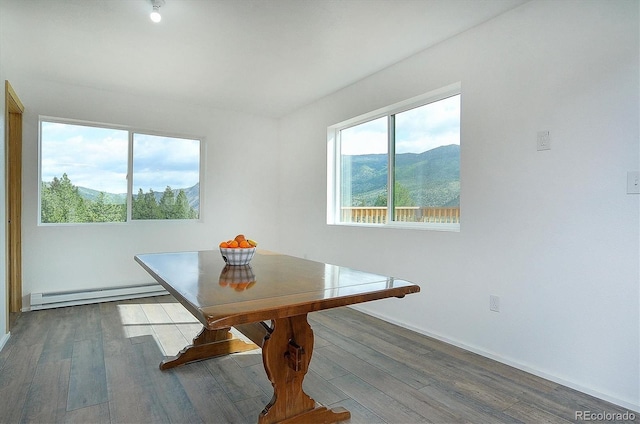 18340 S Lake Rd, Buena Vista, CO 81211 - dining room featuring a baseboard radiator, wood finished floors, baseboards, and a mountain view