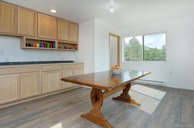 18340 S Lake Rd, Buena Vista, CO 81211 - kitchen featuring baseboard heating, light brown cabinetry, open shelves, dark wood-type flooring, and recessed lighting