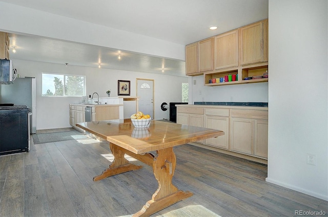 18340 S Lake Rd, Buena Vista, CO 81211 - kitchen featuring stainless steel appliances, healthy amount of natural light, wood finished floors, and recessed lighting