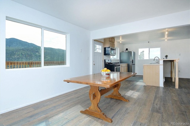 18340 S Lake Rd, Buena Vista, CO 81211 - kitchen featuring appliances with stainless steel finishes, dark wood-type flooring, light countertops, a sink, and baseboards
