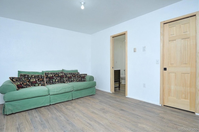 18340 S Lake Rd, Buena Vista, CO 81211 - living area featuring wood finished floors and baseboards