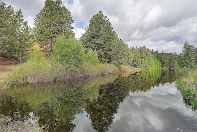 18340 S Lake Rd, Buena Vista, CO 81211 - water view with a forest