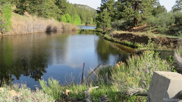 18340 S Lake Rd, Buena Vista, CO 81211 - water view featuring a forest