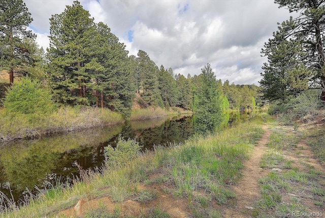 18340 S Lake Rd, Buena Vista, CO 81211 - view of woods with a water view