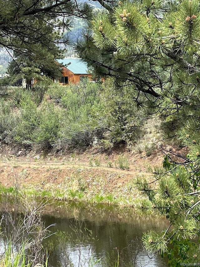 18340 S Lake Rd, Buena Vista, CO 81211 - view of undeveloped land featuring a nearby body of water