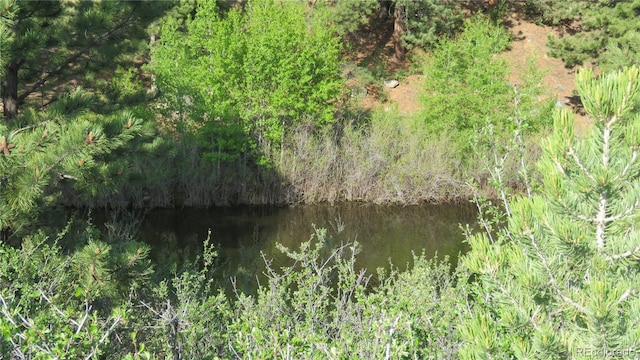 18340 S Lake Rd, Buena Vista, CO 81211 - water view