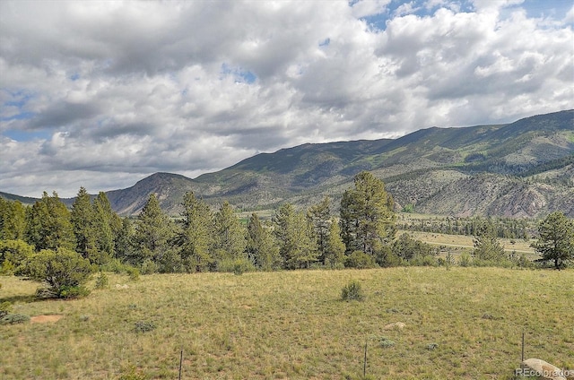 18340 S Lake Rd, Buena Vista, CO 81211 - view of mountain background