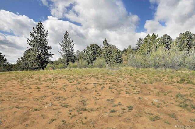 18340 S Lake Rd, Buena Vista, CO 81211 - view of nature