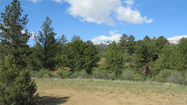 18340 S Lake Rd, Buena Vista, CO 81211 - view of woods with a mountain view