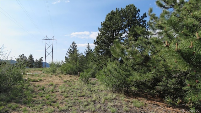 18340 S Lake Rd, Buena Vista, CO 81211 - view of undeveloped land