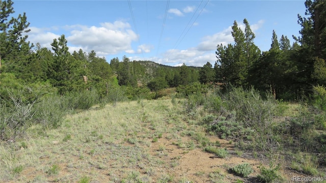 18340 S Lake Rd, Buena Vista, CO 81211 - view of woods