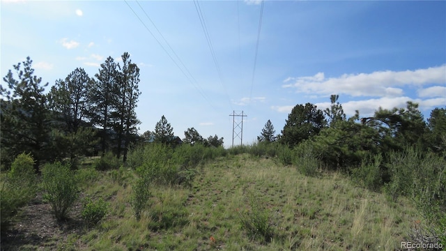 18340 S Lake Rd, Buena Vista, CO 81211 - view of local wilderness
