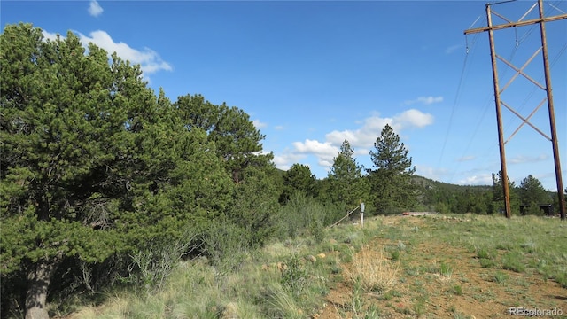 18340 S Lake Rd, Buena Vista, CO 81211 - view of tree filled area