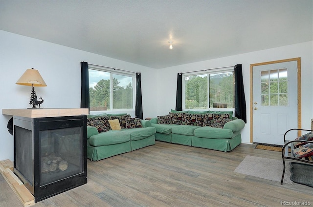 18340 S Lake Rd, Buena Vista, CO 81211 - living area featuring wood finished floors and a glass covered fireplace