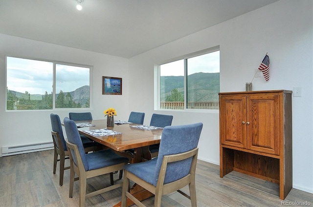18340 S Lake Rd, Buena Vista, CO 81211 - dining room with a baseboard heating unit, light wood-type flooring, and a mountain view
