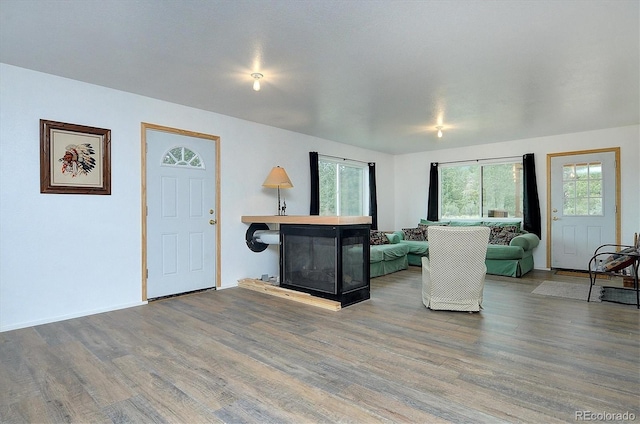 18340 S Lake Rd, Buena Vista, CO 81211 - living area with wood finished floors and a fireplace