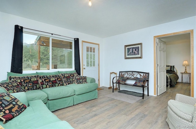 18340 S Lake Rd, Buena Vista, CO 81211 - living area featuring wood finished floors and baseboards