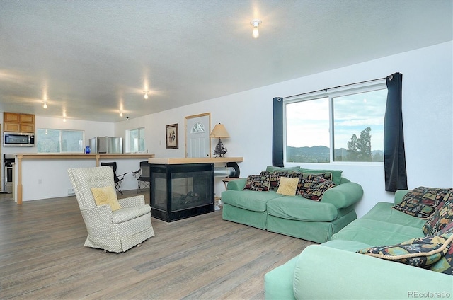 18340 S Lake Rd, Buena Vista, CO 81211 - living area featuring light wood-style floors, a multi sided fireplace, plenty of natural light, and a textured ceiling