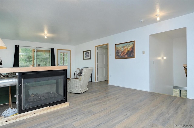 18340 S Lake Rd, Buena Vista, CO 81211 - living area with wood finished floors and a fireplace