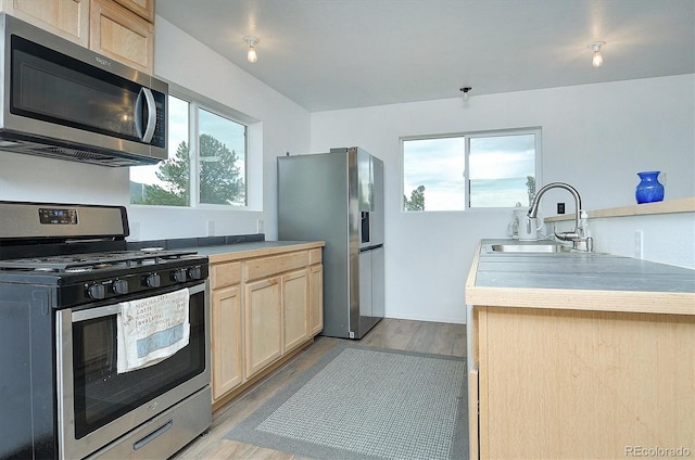 18340 S Lake Rd, Buena Vista, CO 81211 - kitchen featuring appliances with stainless steel finishes, light brown cabinets, and light wood-style flooring