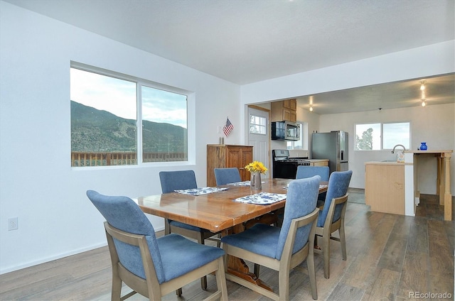 18340 S Lake Rd, Buena Vista, CO 81211 - dining space with light wood finished floors
