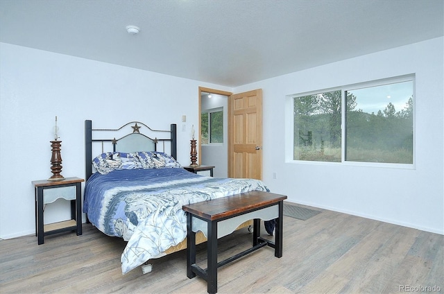 18340 S Lake Rd, Buena Vista, CO 81211 - bedroom with light wood-type flooring and multiple windows