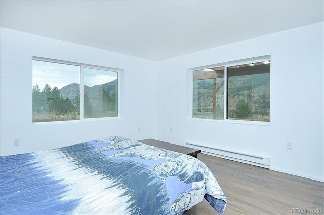 18340 S Lake Rd, Buena Vista, CO 81211 - bedroom with a baseboard radiator and wood finished floors