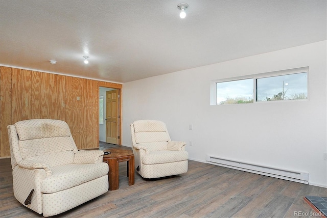 18340 S Lake Rd, Buena Vista, CO 81211 - living area with baseboard heating and wood finished floors
