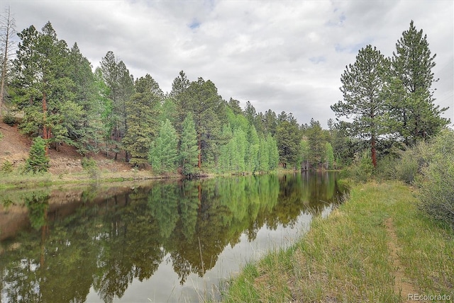 18340 S Lake Rd, Buena Vista, CO 81211 - water view featuring a forest