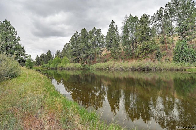 18340 S Lake Rd, Buena Vista, CO 81211 - water view